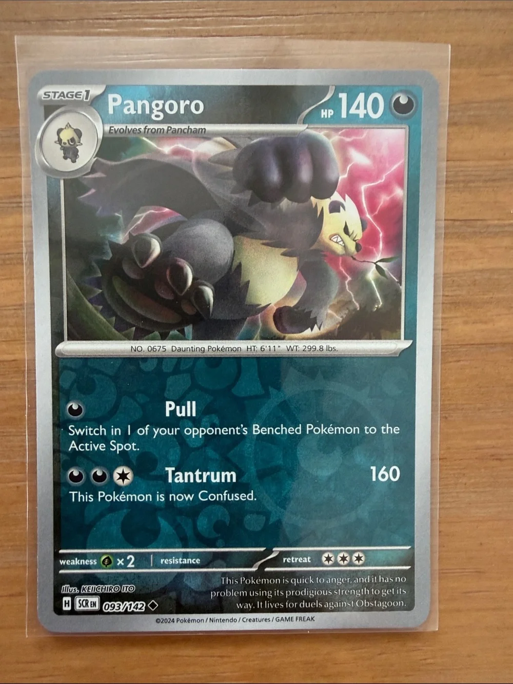 Pancham & Pangoro Evolution Lot | 2 Reverse Holo Pokémon Cards ✨5/$25✨